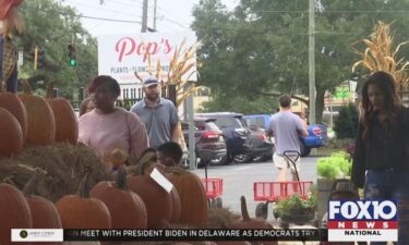 People shop for pumpkins at Family Fun Day in Mobile