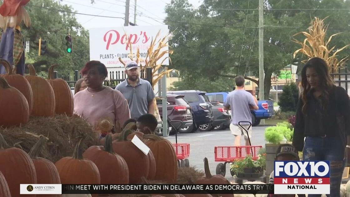 <i>WALA</i><br/>People shop for pumpkins at Family Fun Day in Mobile