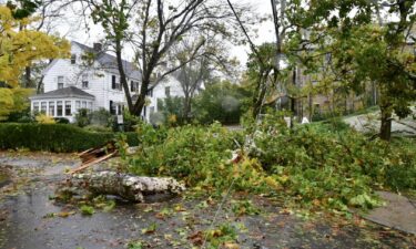 Cohasset Police say historic trees were toppled and several boats were aground in Cohasset Harbor. Cohasset is a town in Norfolk County and is about 22 miles from Boston.