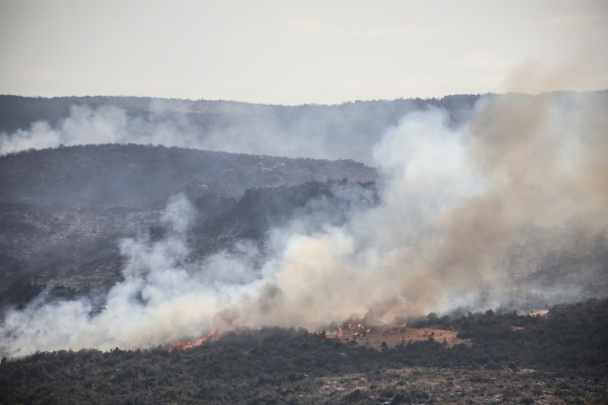 <i>Azalden Idlib/INA Photo Agency/Sipa USA/FILE</i><br/>Syria has executed 24 people who were convicted of terrorism charges for igniting last year's devastating wildfires that left 3 people dead and scorched thousands of acres of forests