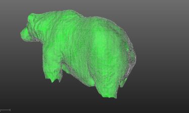 Estimating a bear's weight with lidar is much less disruptive