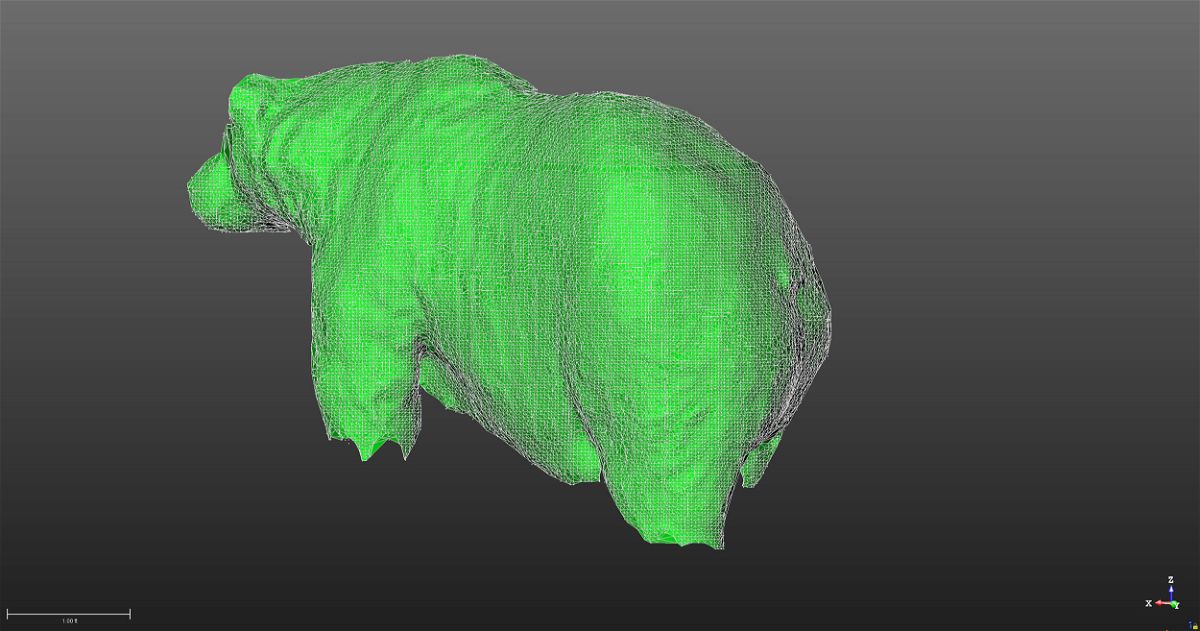 <i>Alaska Regional Office/National Park Service</i><br/>Estimating a bear's weight with lidar is much less disruptive