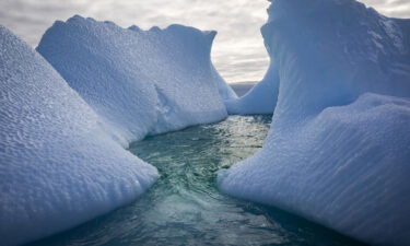 Icebergs surround Galindez Island in Antarctica