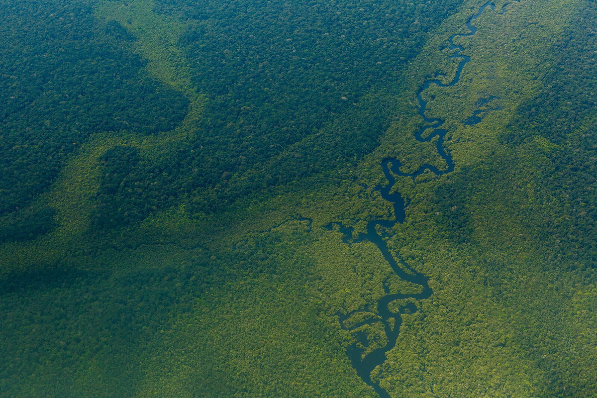 <i>Diego Baravelli/picture alliance/Getty Images</i><br/>Aerial view of the Amazon forest near Sao Gabriel da Cachoeira.