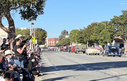 veterans day parade, event, event cancelled