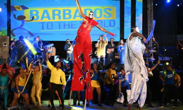 Entertainers perform during the Presidential Inauguration.