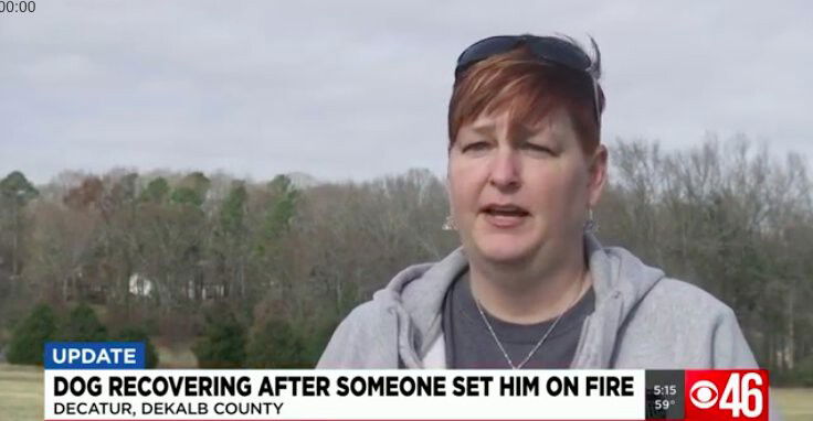 <i>WGCL</i><br/>Tina Lee