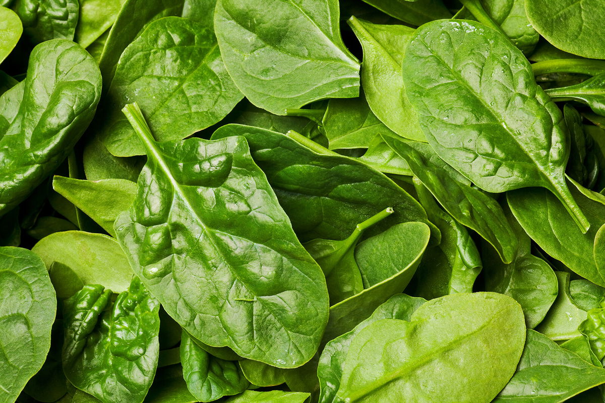 <i>Adobe Stock</i><br/>A multistate outbreak of Listeria infections connected to packaged salads has sickened 10 people and killed one