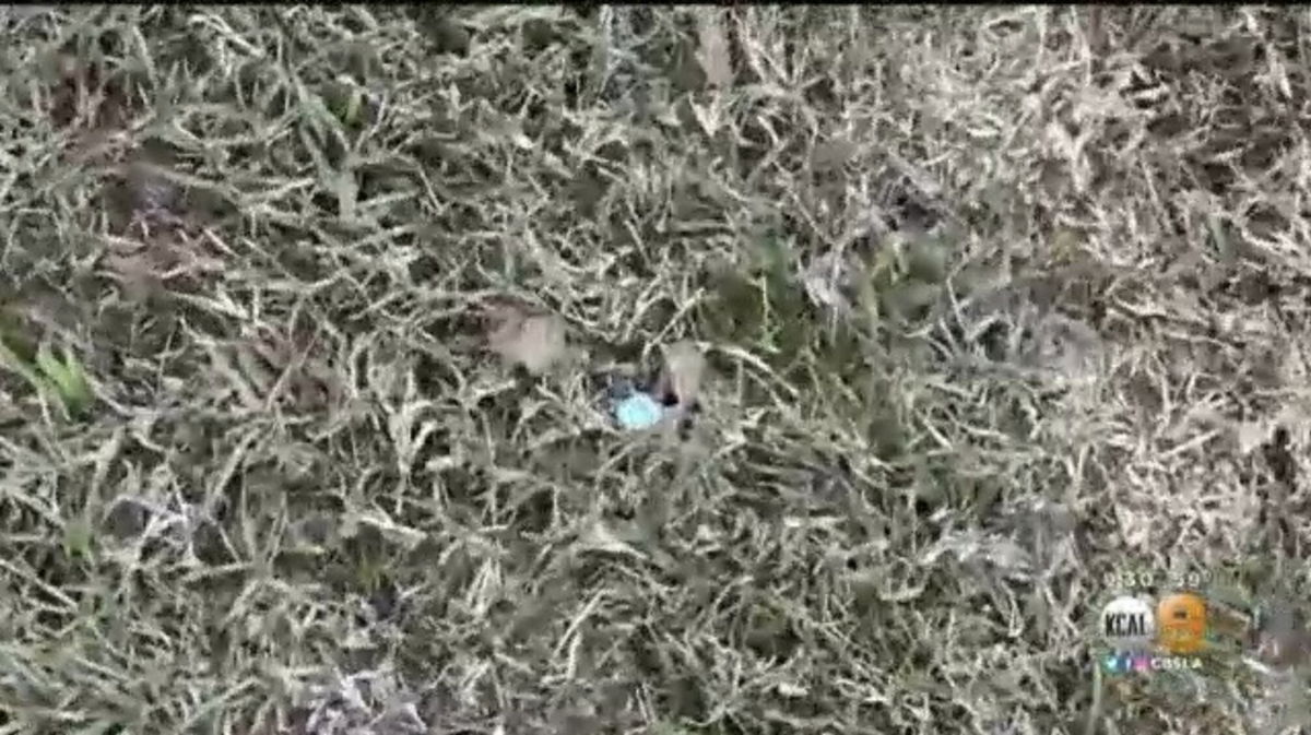 <i>KCBS</i><br/>Huntington Beach Police recovered pills found across the street from a school. A home nearby is being investigated.