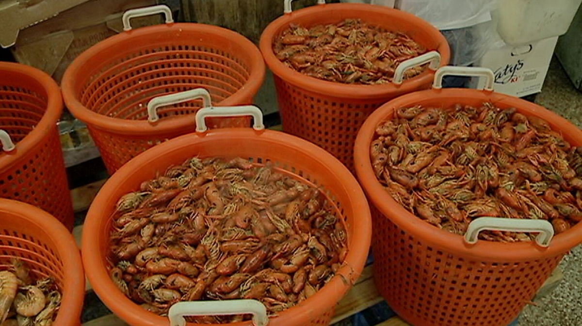 <i>WDSU</i><br/>Louisiana saw an early start to crawfish season thanks to a warm start to winter