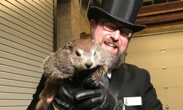 PETA is once again calling for the retirement of Punxsutawney Phil.