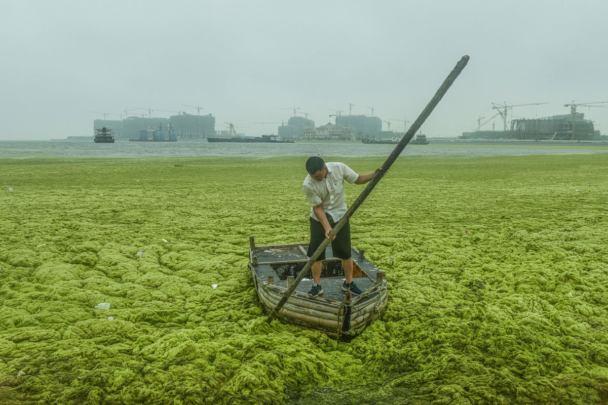 <i>Yang Tongyu</i><br/>A judging panel that included artist Yao Lu and architect Patrik Schumacher described the picture as 