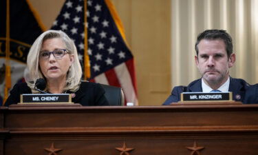 Rep. Liz Cheney and Adam Kinzinger