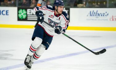 The American Hockey League suspended San Jose Barracuda forward Krystof Hrabik for 30 games for directing a racist gesture toward Boko Imama of the Tucson Roadrunners during a game in January.