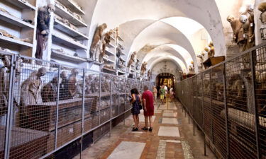 A team of scientists is trying to find out why dozens of children were mummified and buried in catacombs at a convent on the Italian island of Sicily.