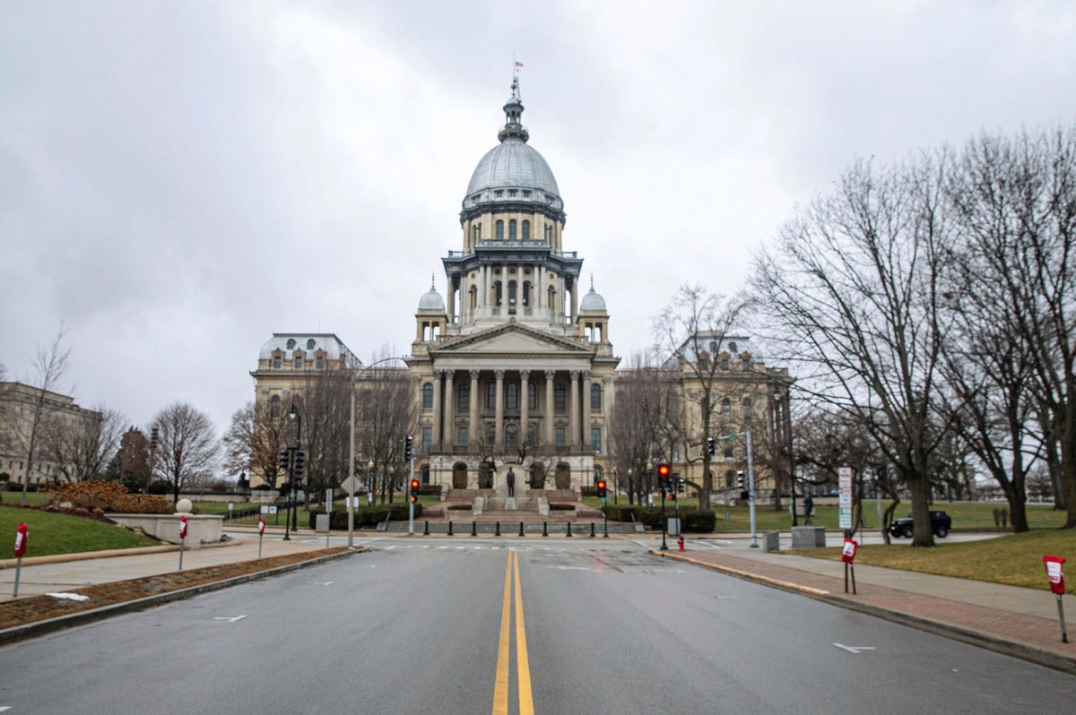 <i>Justin L. Fowler//The State Journal-Register/AP</i><br/>Illinois Democratic state lawmakers voted Thursday to remove nine Republicans from the state House after they refused to comply with the chamber's mask mandate.