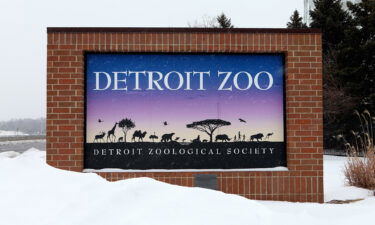 The Detroit Zoo is moving birds inside as a proactive measure against bird flu.