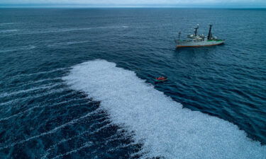 The dead fish formed a huge white carpet in the Bay of Biscay