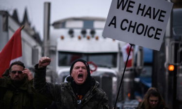 Canadian protesters are now defying a court order as they block a critical route into USA. Pictured are protesters in Ottawa on February 11.