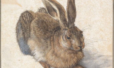 "Young Hare