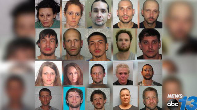 <i>Henderson County Sheriff Office/WLOS</i><br/>Numerous people have been accused of partaking in what Henderson County authorities are calling a