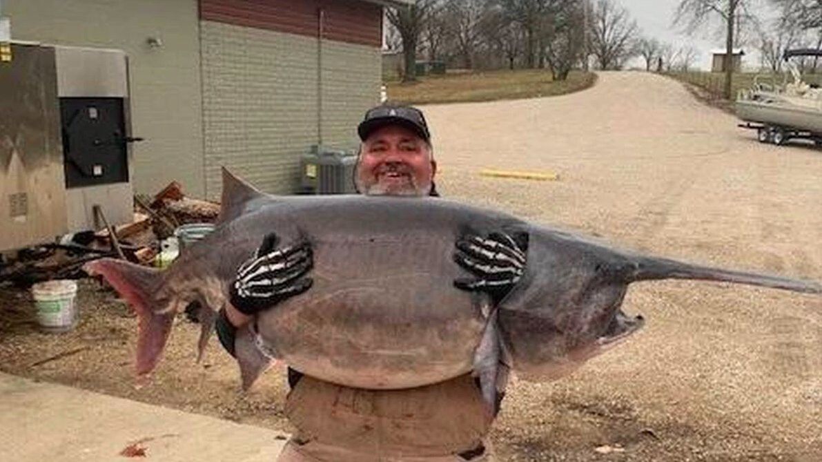 <i>Missouri Department of Conservation/KCTV</i><br/>Jim Dain broke the Missouri state record for largest paddlefish caught in the state.