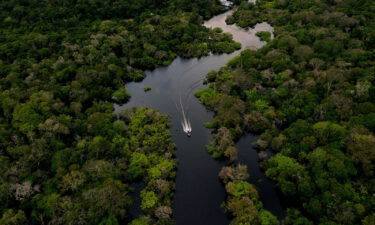 Aerial view showing a boat speeding on the Jurura river in the municipality of Carauari