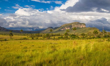 Jardim de Maytrea is a magical spot within Chapada dos Veadeiros National Park in central Brazil.