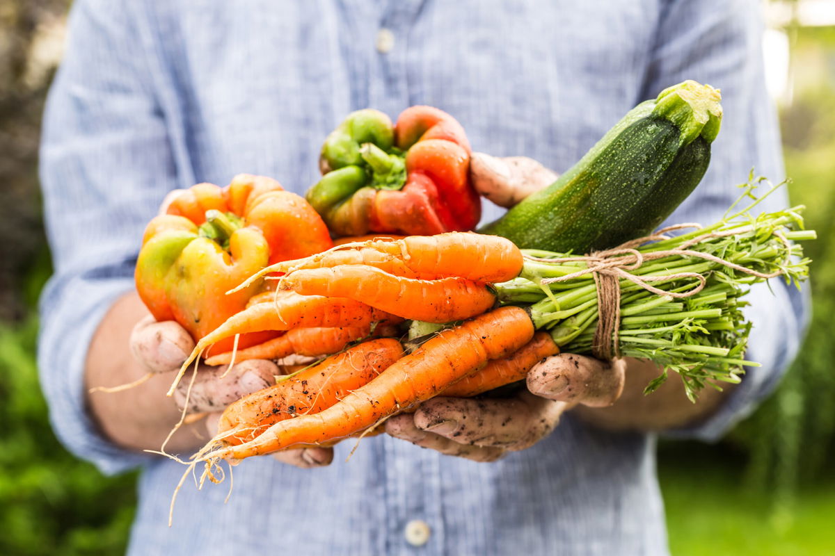 <i>Adobe Stock</i><br/>New technology can't substitute general nutrition principles such as eating more healthy plant foods.