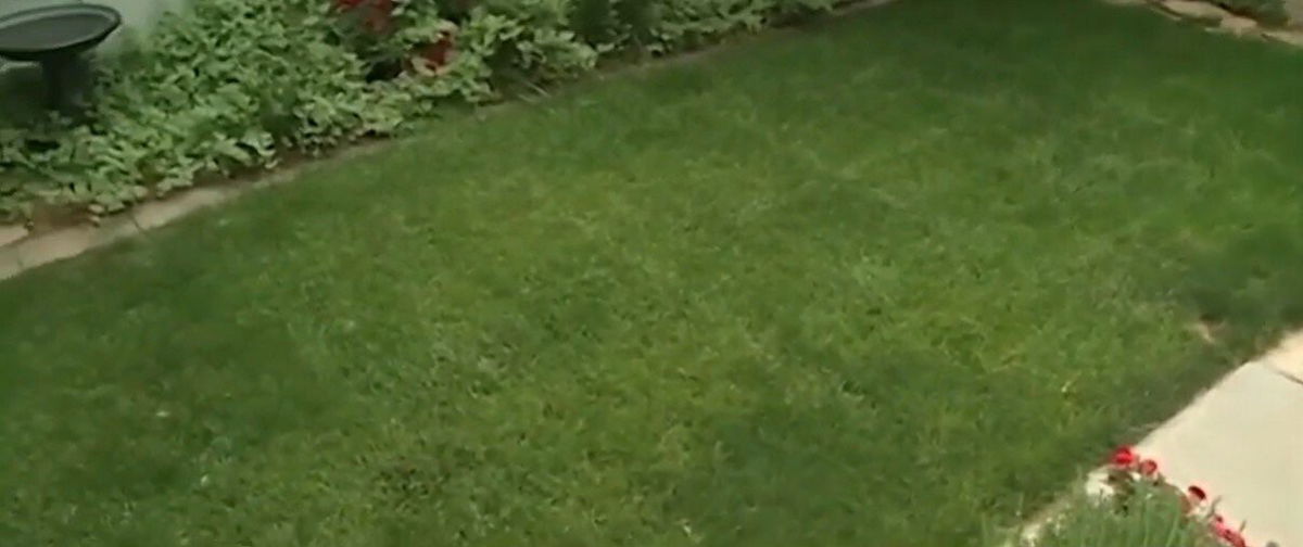 <i>WESH</i><br/>Some parents and children in Central Florida woke up on Easter morning to find no eggs in their yard after they paid for them to be delivered.