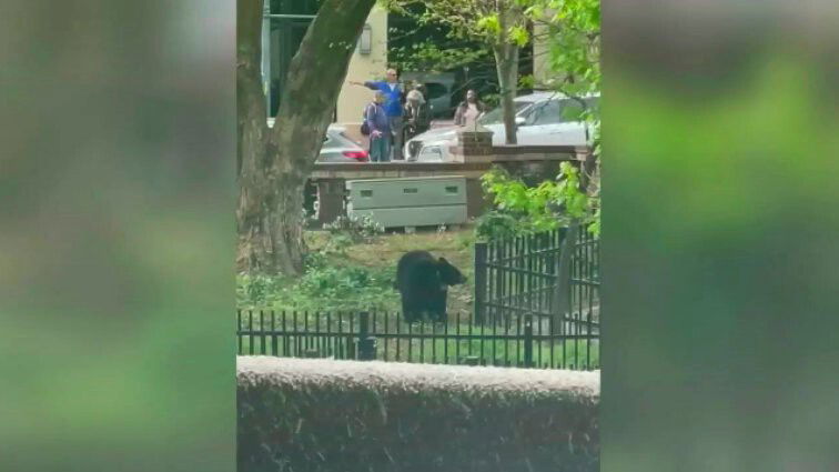 <i>WLOS</i><br/>Still image of a video recorded on April 21