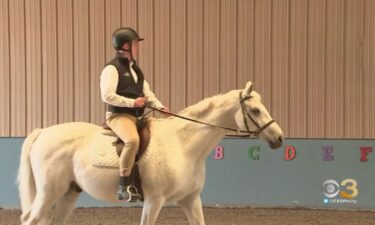 Horse therapy is offered for children with autism.