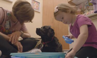 Odin is a 5-year-old black Labrador Retriever who spends time providing love to sick children and their families as the kids undergo their treatments.