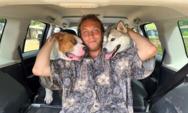 A man was reunited with his two dogs after he said someone he caught a ride with stole them