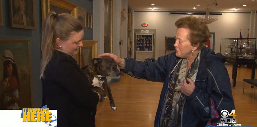 <i>WBZ</i><br/>The staff dog of the Old Colony History Museum is becoming the star attraction of the museum.