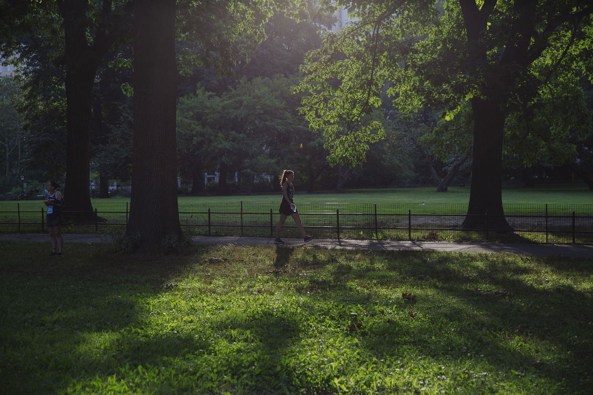 <i>Allison Hess/Bloomberg/Getty Images</i><br/>Forest bathing could be the key to feeling better.