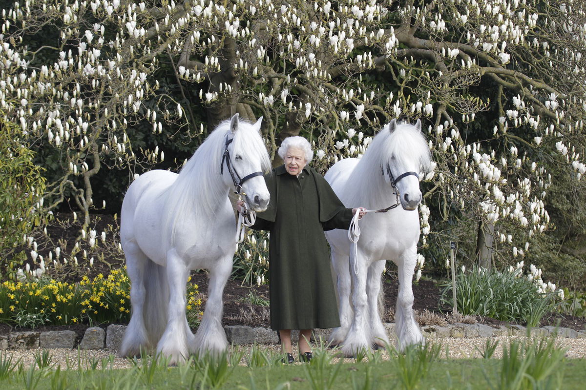 <i>Henry Dallal/The Royal Windsor Horse Show/Getty Images</i><br/>