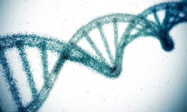 An additional 42 genes connected to the development of Alzheimer's disease have been uncovered in the largest study of genetic risk for Alzheimer's to date.