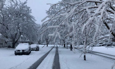 A Nor'easter knocks out power for more than 315