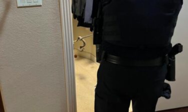 Southlake police officers removed a snake from a woman's shoe closet over the weekend.