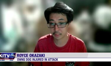 Royce Okazaki's dog is recovering from a confrontation with another dog.