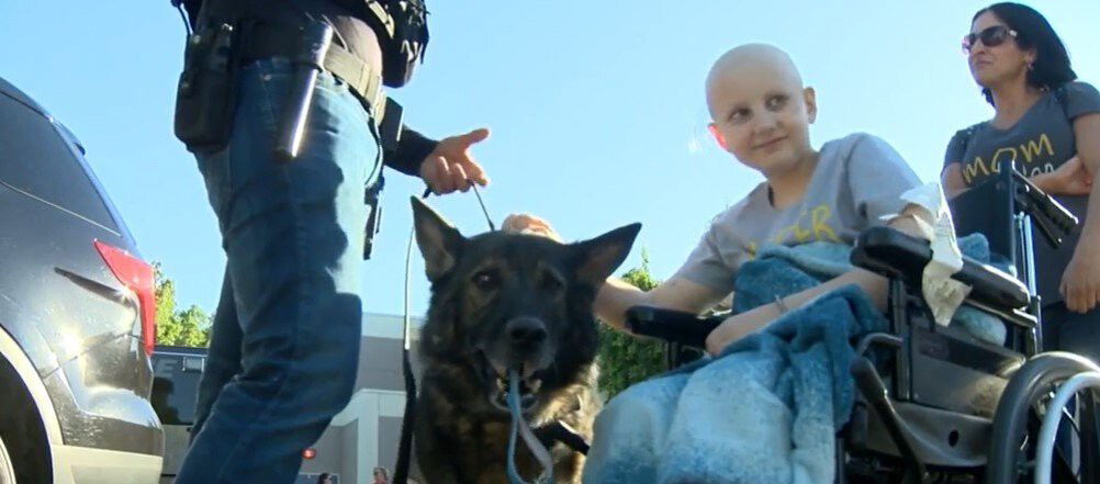 <i>KCRA</i><br/>A Vacaville third grader received a huge welcome home after a long several months in Southern California.