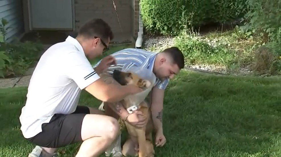 <i>WPVI</i><br/>A New Jersey man and his roommate's puppy are recovering after being attacked by a neighborhood dog.