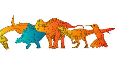 (From left) This illustration depicts Plesiosaurus
