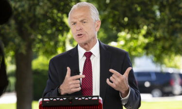 Former Trump White House adviser Peter Navarro