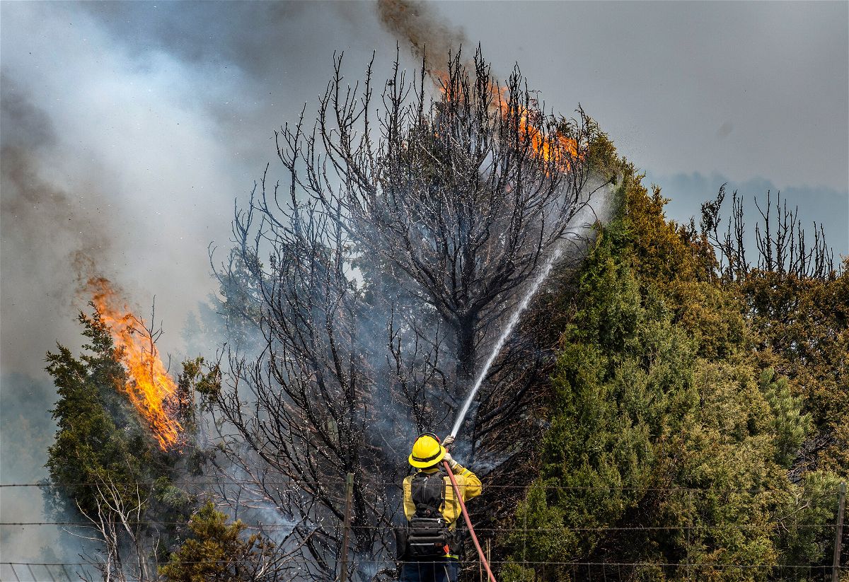 <i>Eddie Moore/AP</i><br/>Firefighters on Thursday trying to hold the Calf Canyon/Hermit Peak Fire near Las Vegas