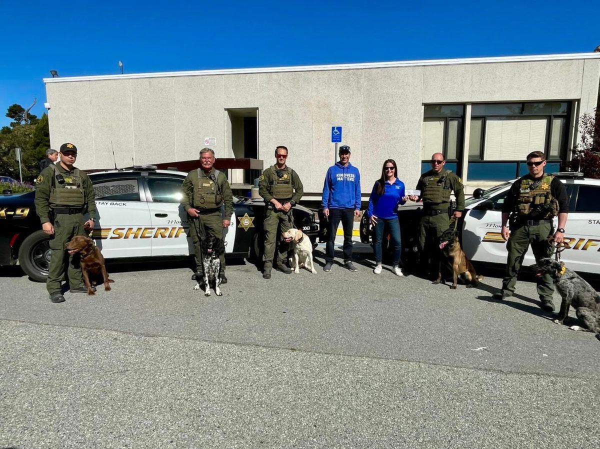 K9 Valter the Springer Spaniel that is scheduled to retire after a long career of keeping his community safe. 