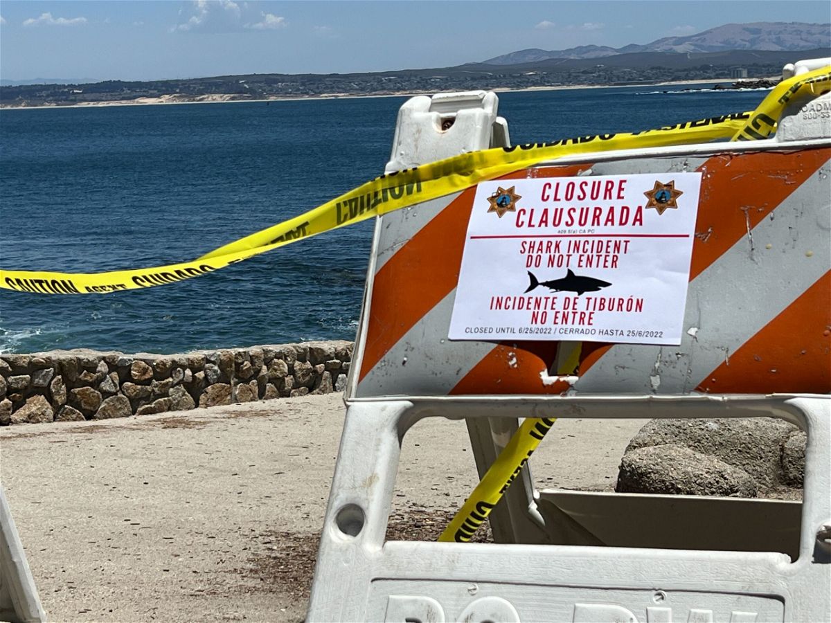 1 hospitalized after shark attack in Monterey County