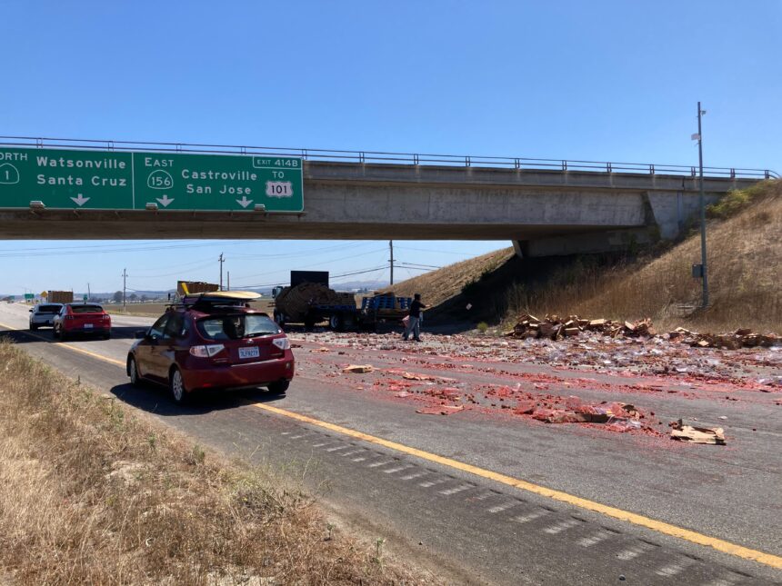 Strawberry traffic jam on Highway 1 near Castroville KION546