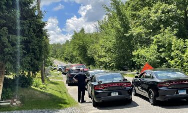 At least 150 cats were removed from a Winsted home in what police are calling a "cat hoarding" situation.